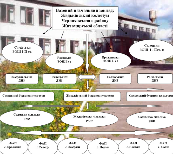Структура Жадьківського колегіуму